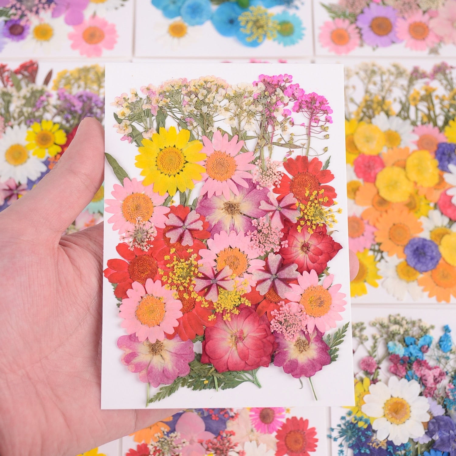 Pressed Flower Stickers | Realistic Floral Embellishment for Herbarium |  Resin Inclusions | Scrapbooking Supplies (20 pcs)