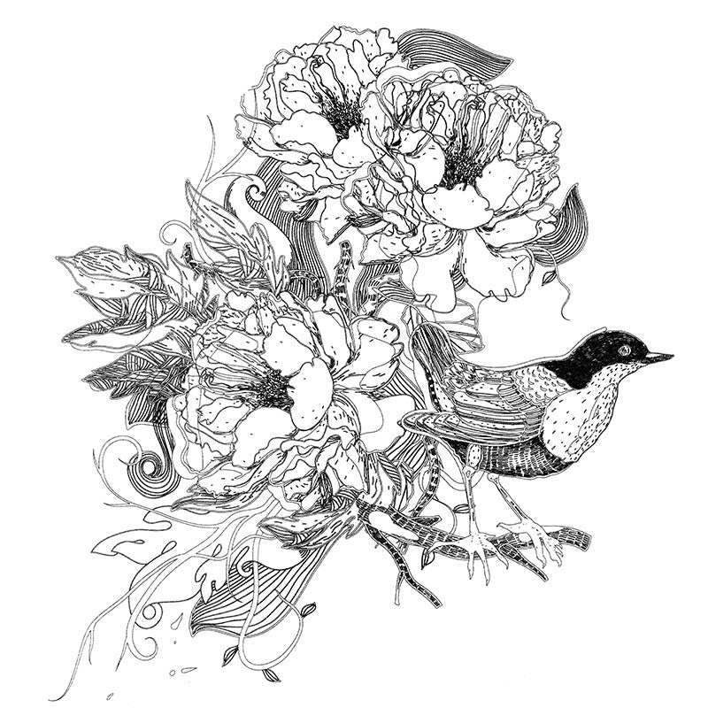 PCS Adult Colouring Book Bundle Set