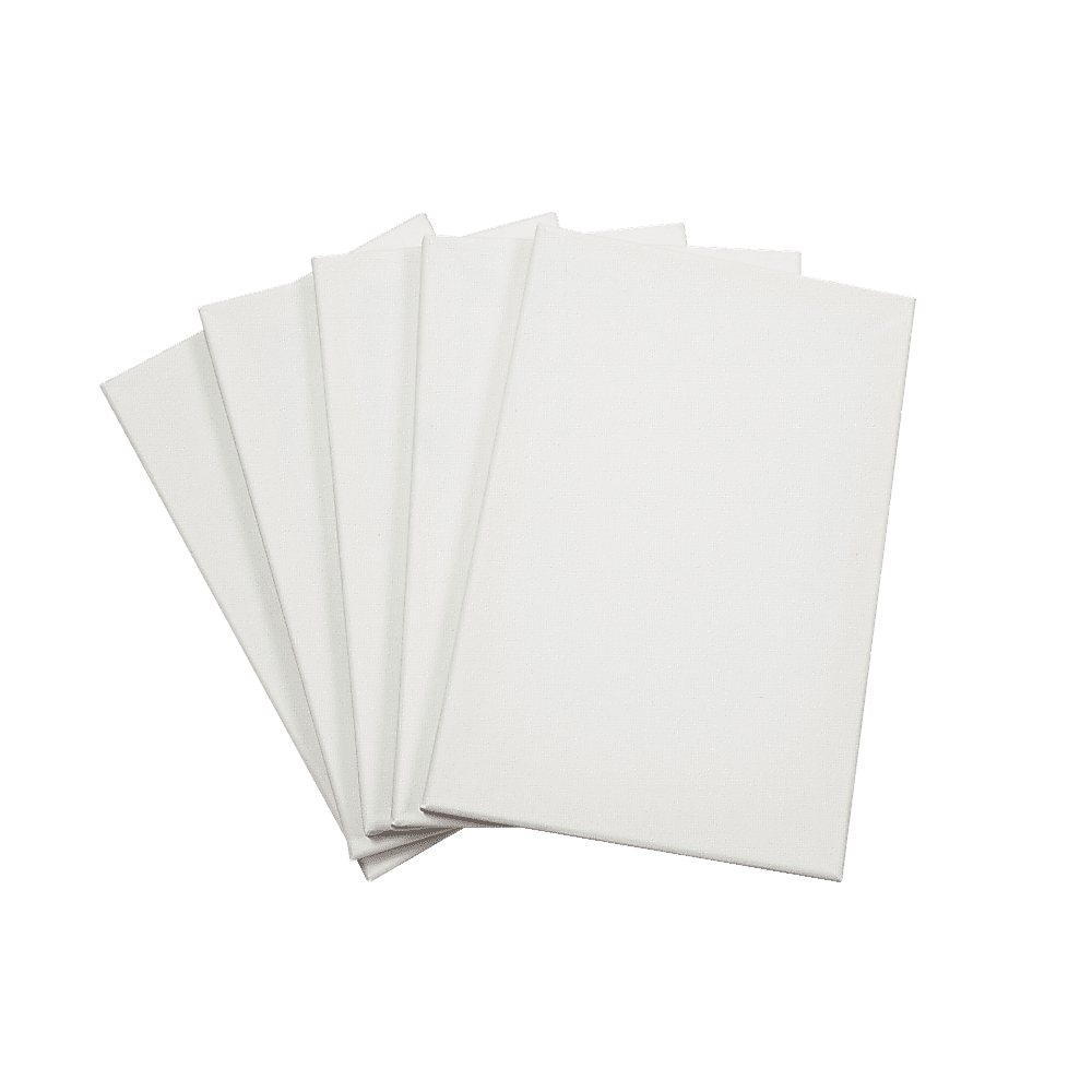 5 pack of 20x30cm Artist Blank Stretched Canvas