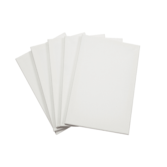 5 pack of 20x30cm Artist Blank Stretched Canvas