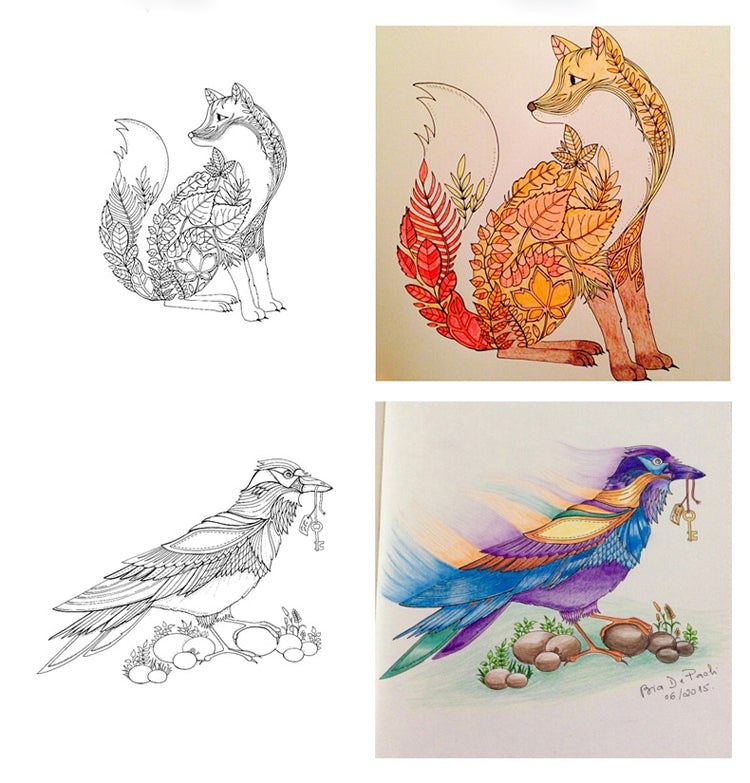 Page Secret Garden Adult Colouring Book Colour