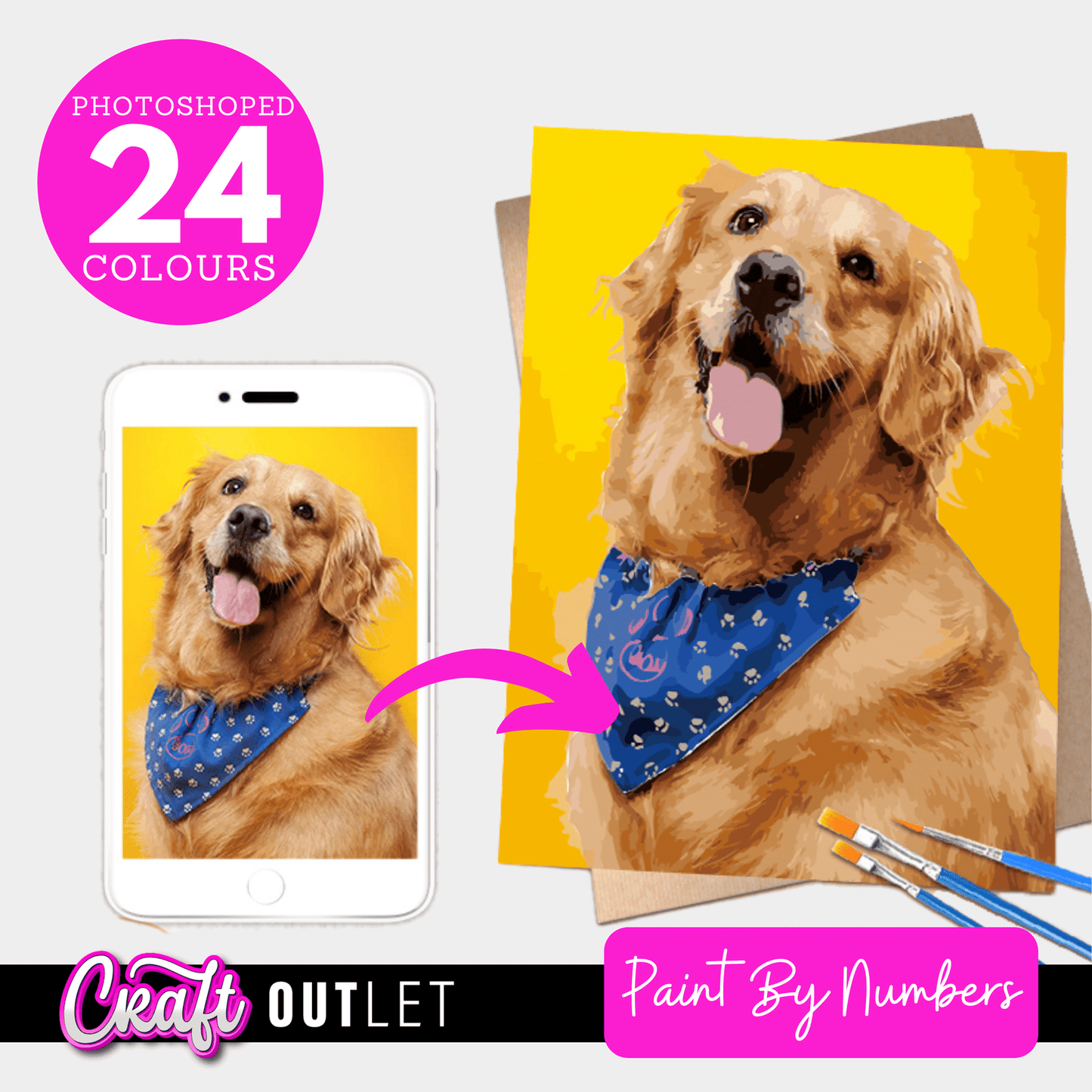 Photoshopped Personalised Photo DIY Paint By Numbers Kit