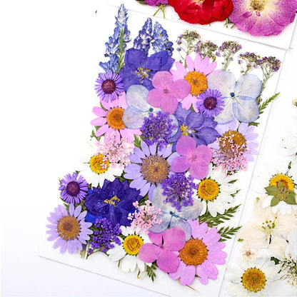 40Pcs Dried Pressed Flower Pack Resin Filling