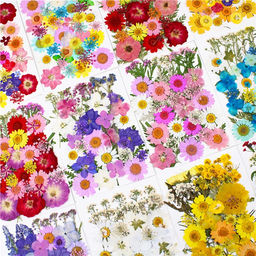 40Pcs Dried Pressed Flower Pack Resin Filling