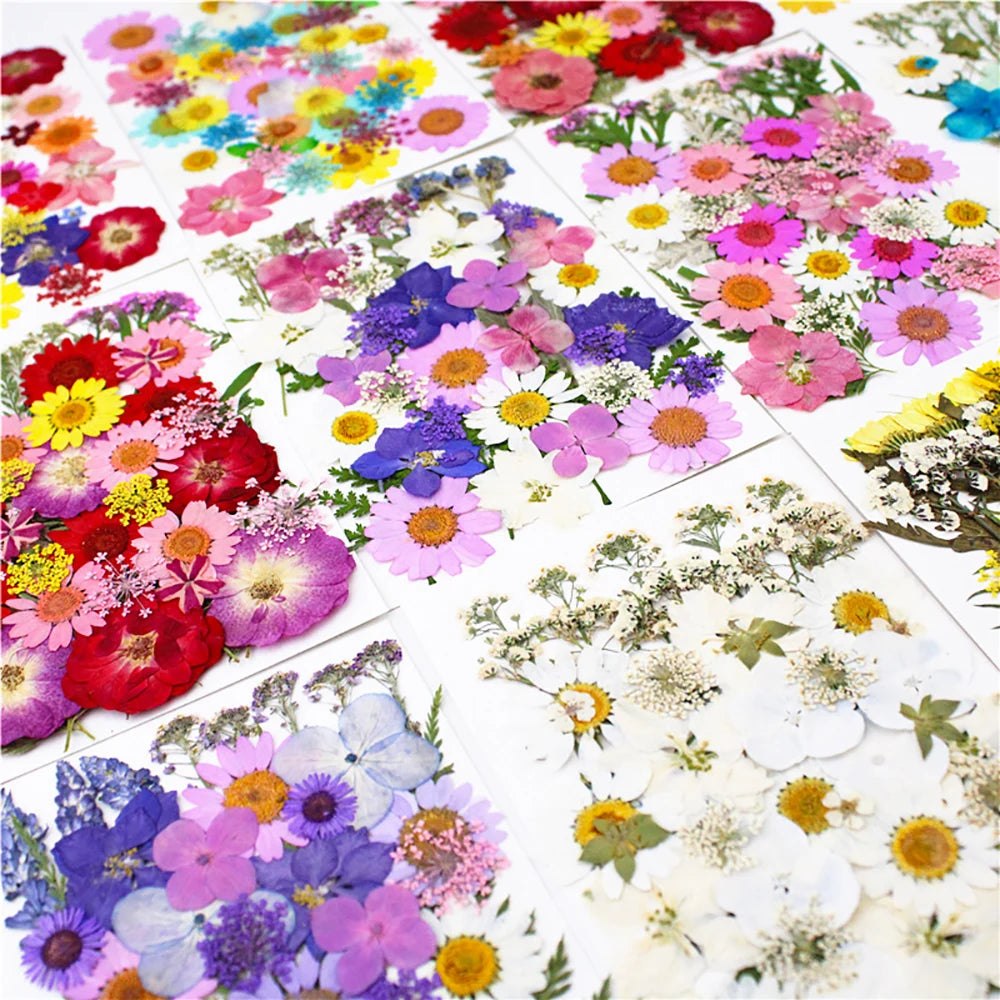 40Pcs Dried Pressed Flower Pack Resin Filling