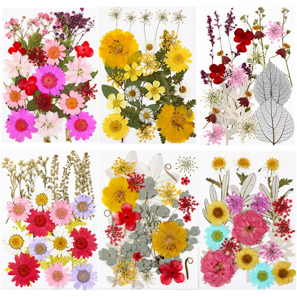 40Pcs Dried Pressed Flower Pack Resin Filling