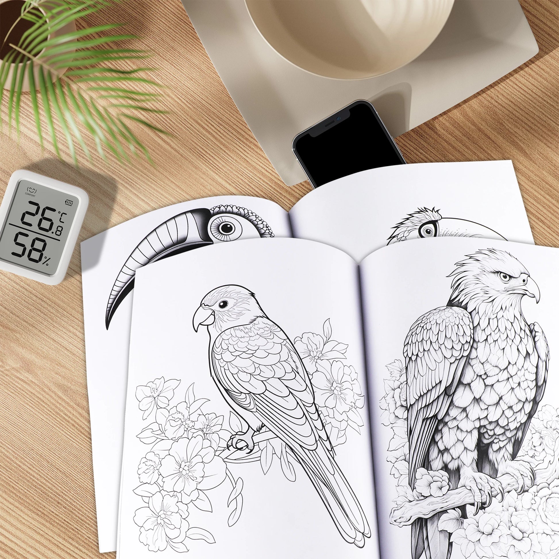 A4 Adult Colouring Book 28 Pages - Birds