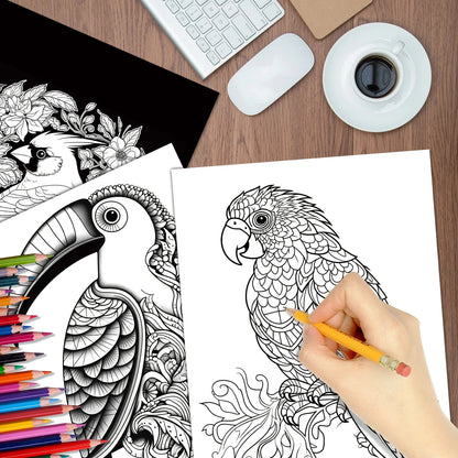 A4 Adult Colouring Book 28 Pages - Birds