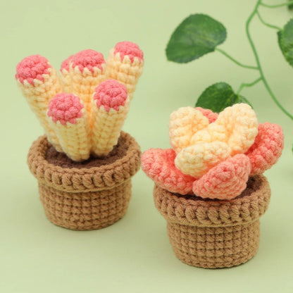 Beginner Crochet Kit - Potted Cactus Plant