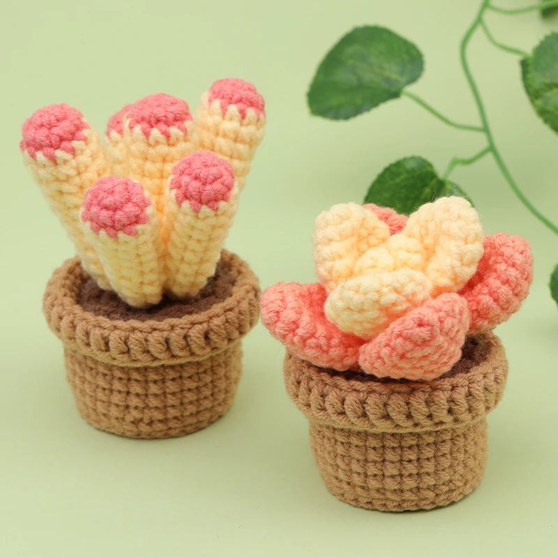 Beginner Crochet Kit - Potted Cactus Plant