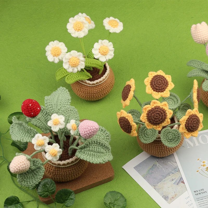 Crochet Craft Flower Kit for Beginners - White Daisies