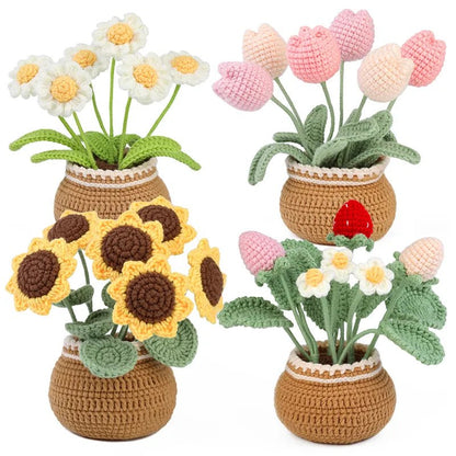 Crochet Craft Flower Kit for Beginners - White Daisies