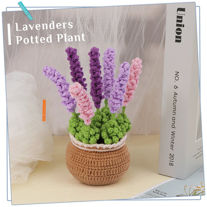 Crochet Pot Plant Starter Kit - Lavender