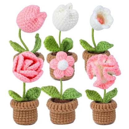 DIY Crochet Potted Flower Kit