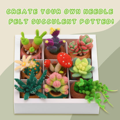 DIY Needle Wool Felting Starter Kit - Succulent Potted Plants