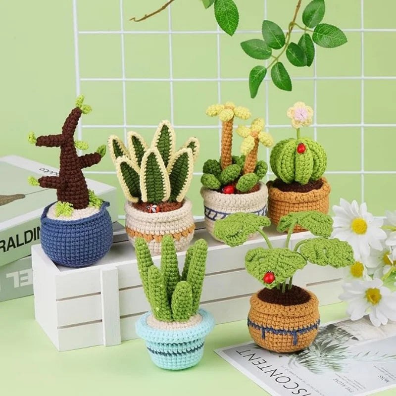 DIY Succulents Plants Crochet Kit