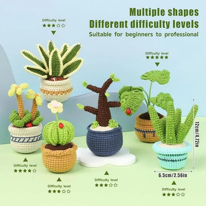 DIY Succulents Plants Crochet Kit