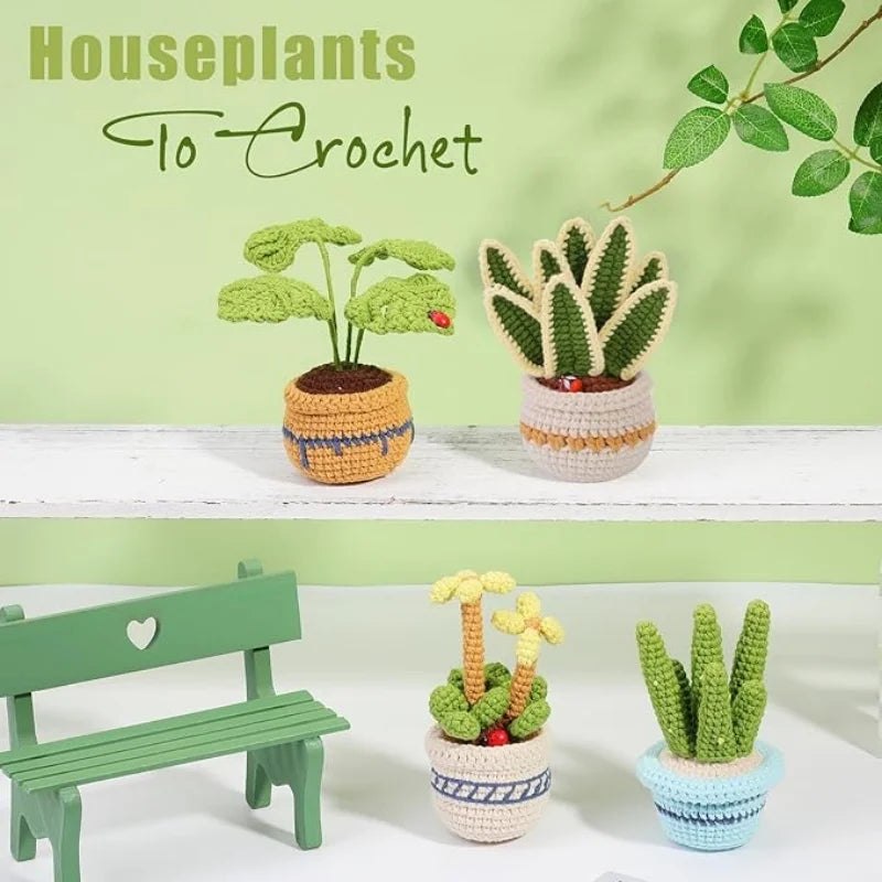 DIY Succulents Plants Crochet Kit