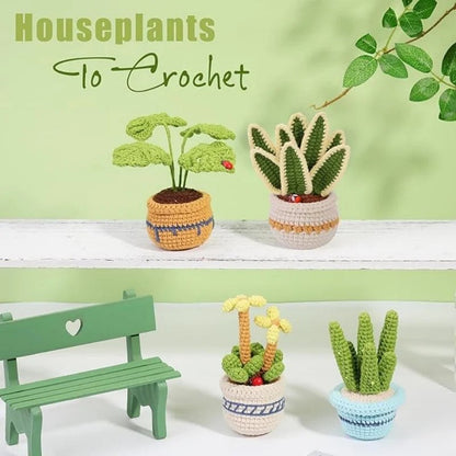 DIY Succulents Plants Crochet Kit