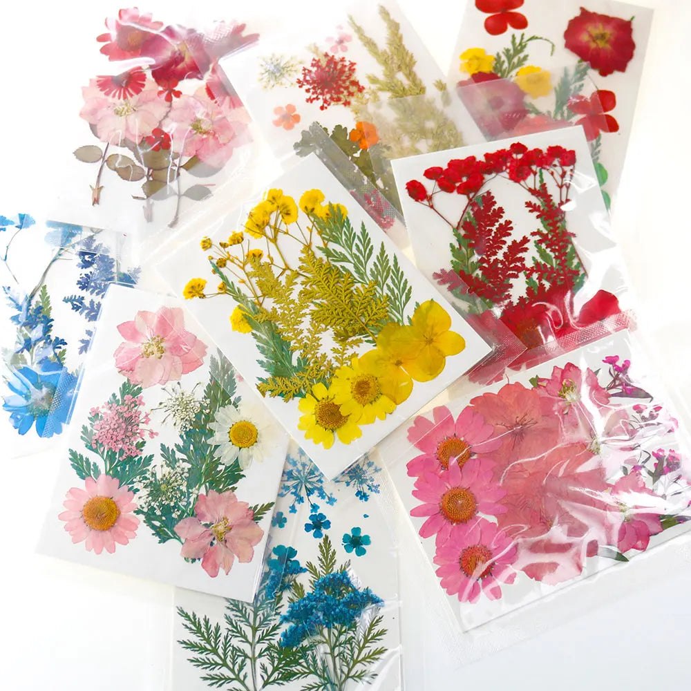 Dried Pressed Flower Pack Resin Filling