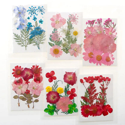 Dried Pressed Flower Pack Resin Filling