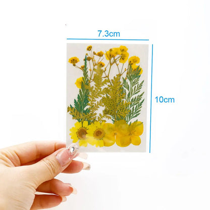 Dried Pressed Flower Pack Resin Filling