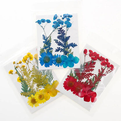 Dried Pressed Flower Pack Resin Filling