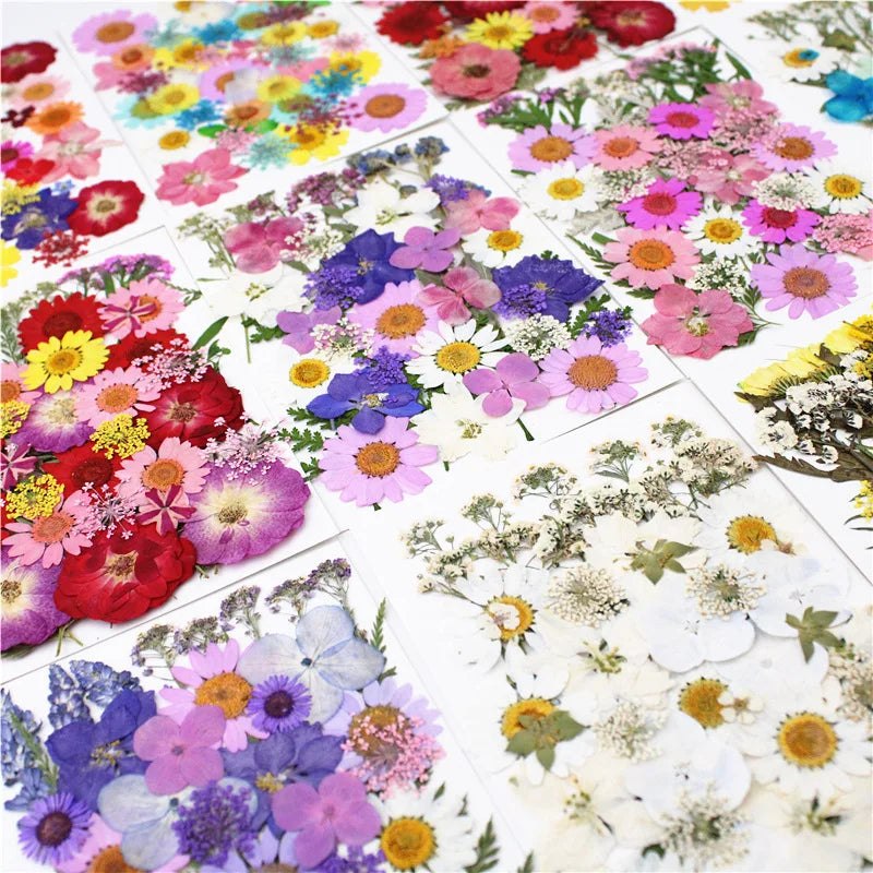 Dried Pressed Flowers For Epoxy Resin Crafts