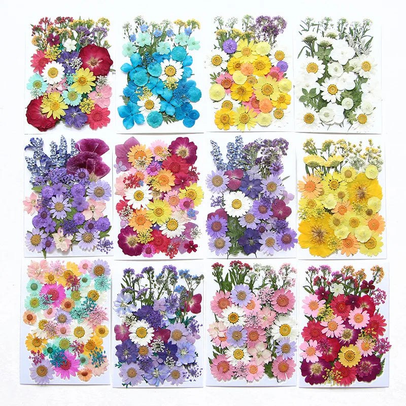 Dried Pressed Flowers For Epoxy Resin Crafts