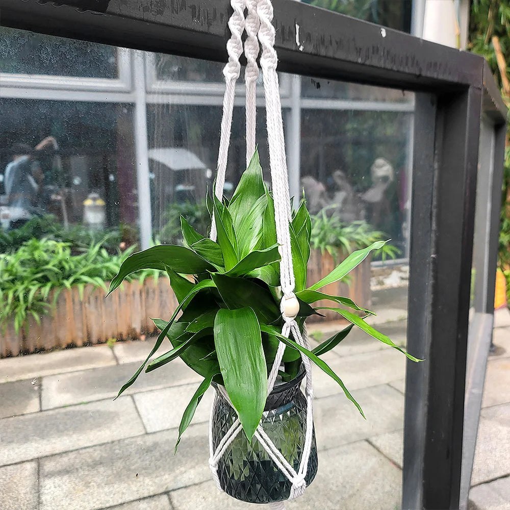 Hanging Plant Basket Macrame Kit