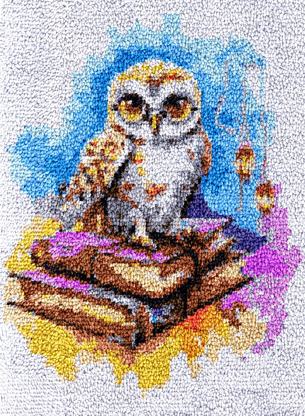 Latch Hook Rug Making Kit - Charming Wise Old Book Owl - 55x75cm