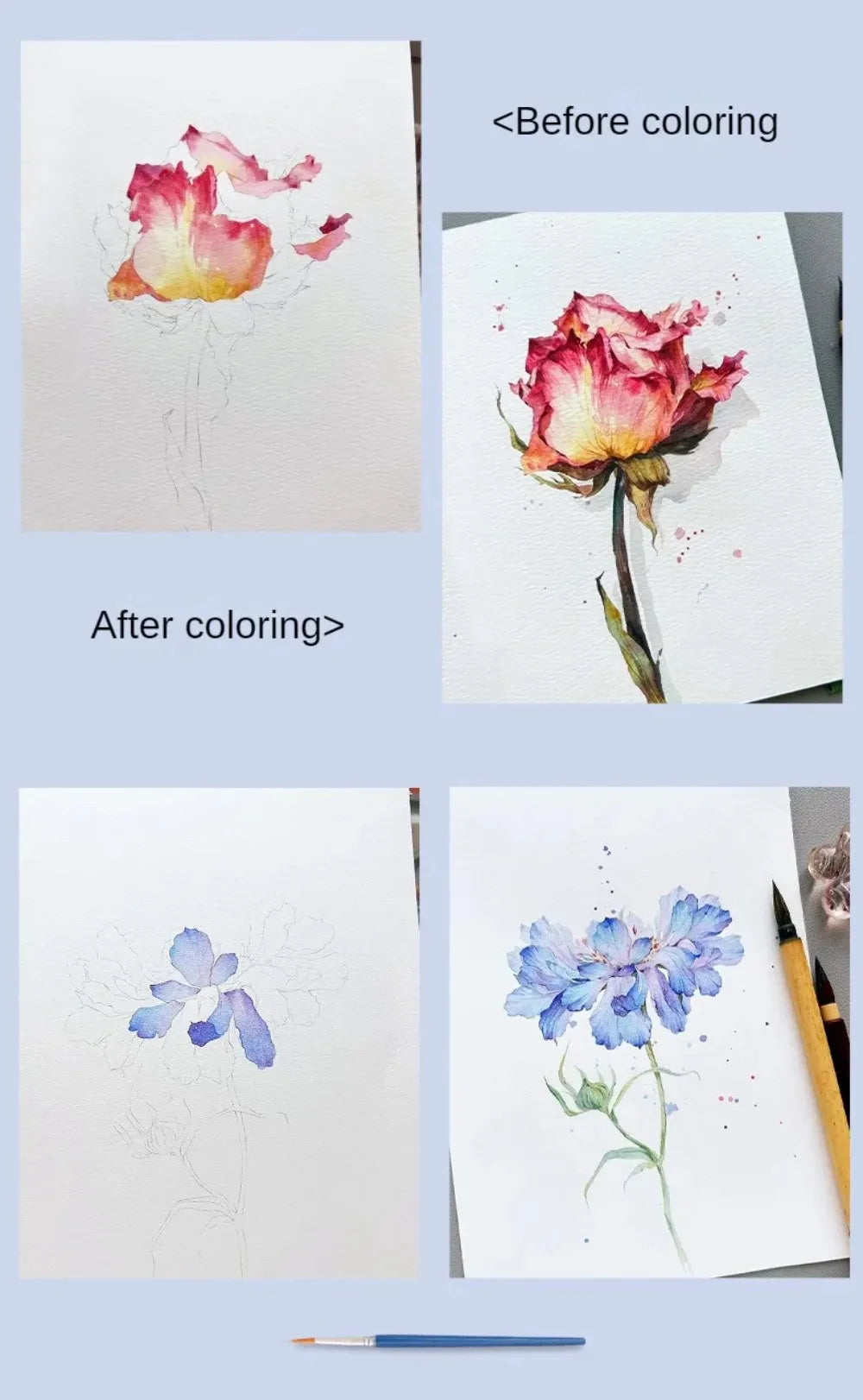 Watercolour Painting Colouring Books