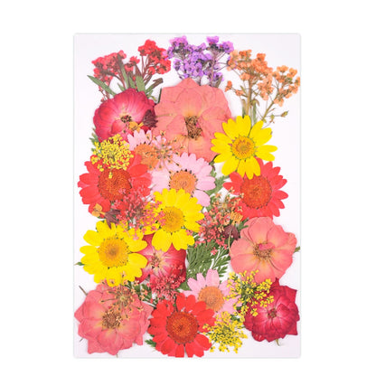 40Pcs/Bag Dried Pressed Flower Pack