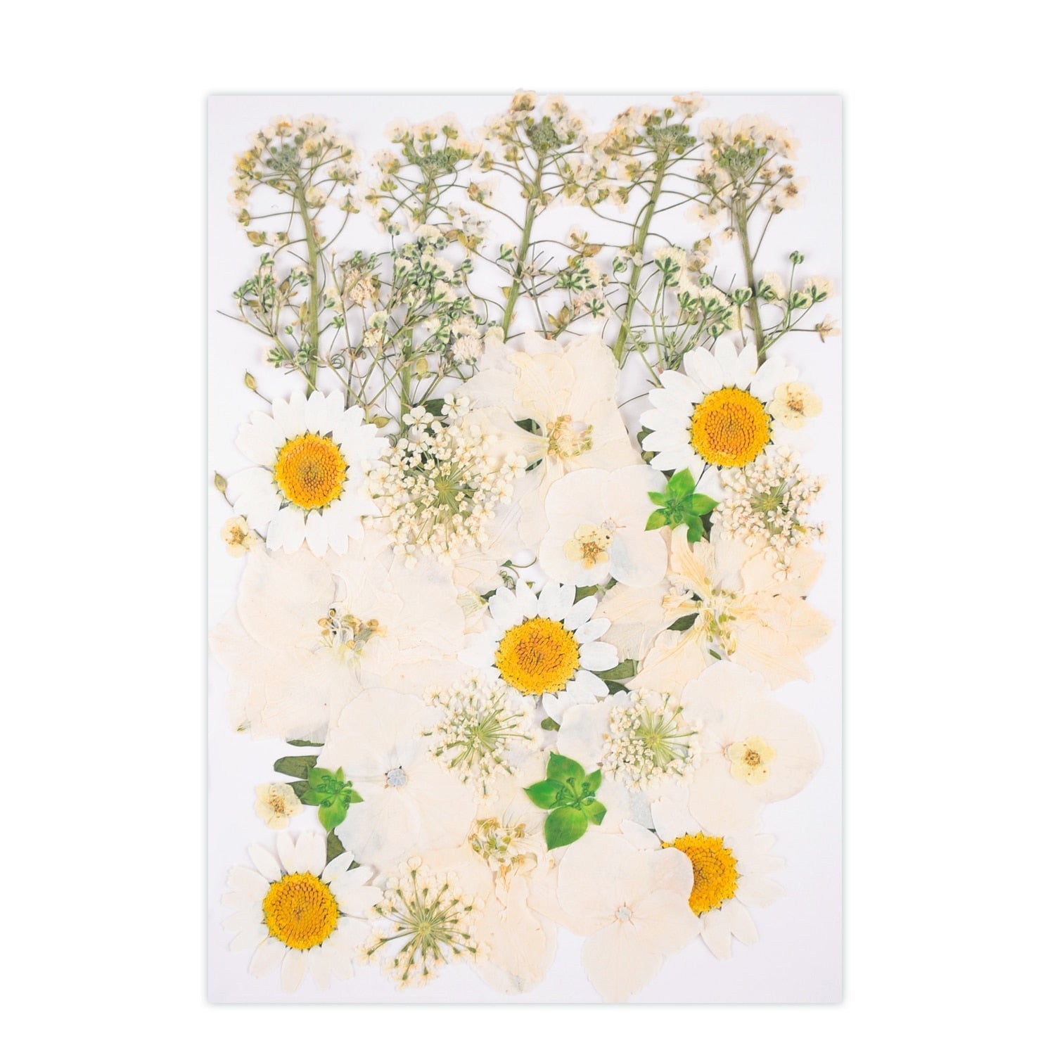 Pressed flower bag hot sale