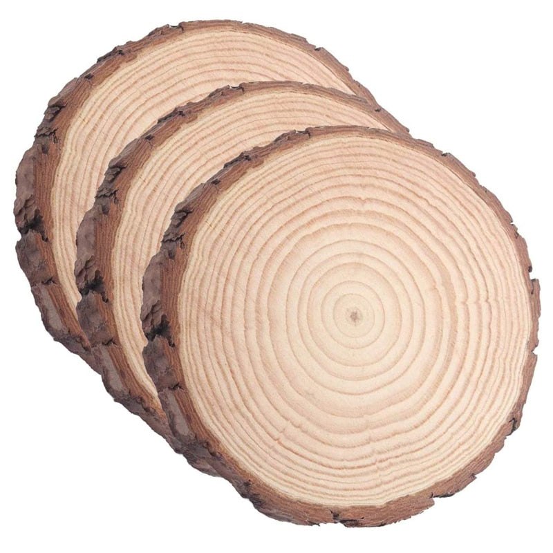 22cm Natural Unfinished Round Wood Blank Blanks