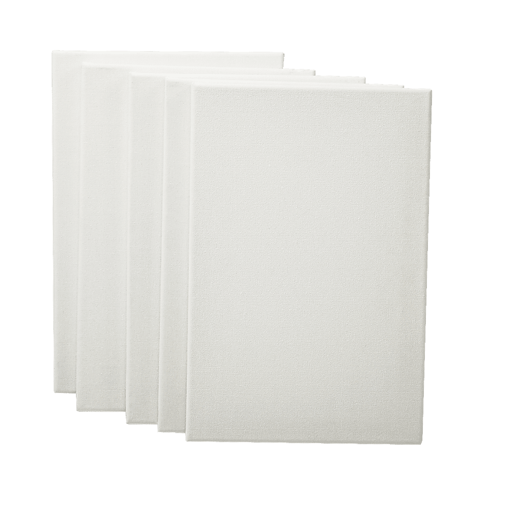 5 pack of 20x30cm Artist Blank Stretched Canvas