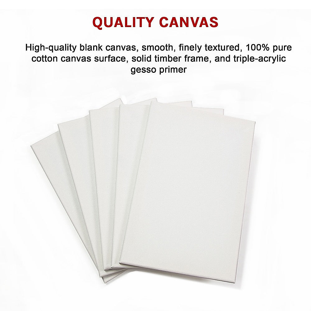 5 pack of 20x30cm Artist Blank Stretched Canvas