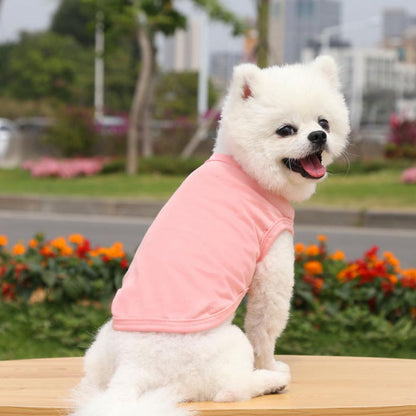 Cotton Blank Dog T-Shirts Blanks