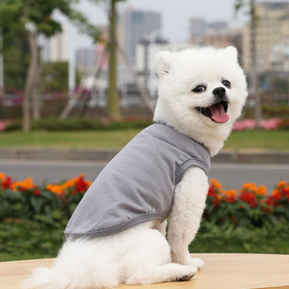 Cotton Blank Dog T-Shirts Blanks