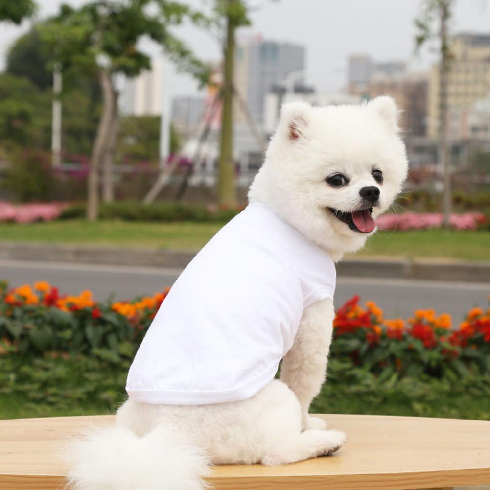 Cotton Blank Dog T-Shirts Blanks