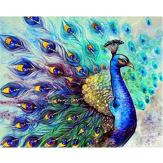 Paint By Numbers Kit - Colourful Blue Peacock 