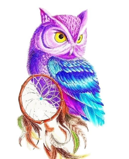 Paint Numbers Owl Dream Catcher 
