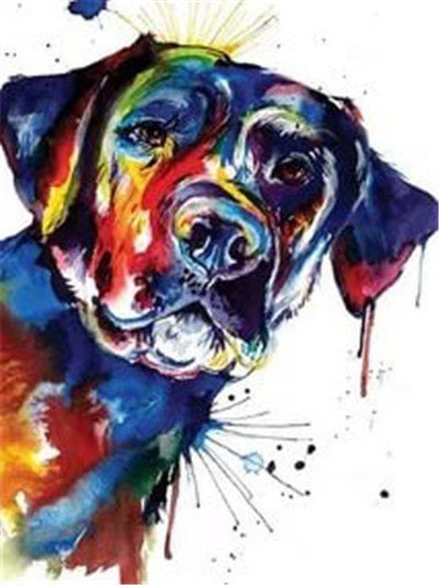 Paint By Numbers Starter Bundle - Paint Splatter Pug Dog Puppy Paint By Numbers