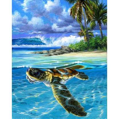Paint By Numbers Starter Bundle - Sea Life Ocean Turtles Paint By Numbers